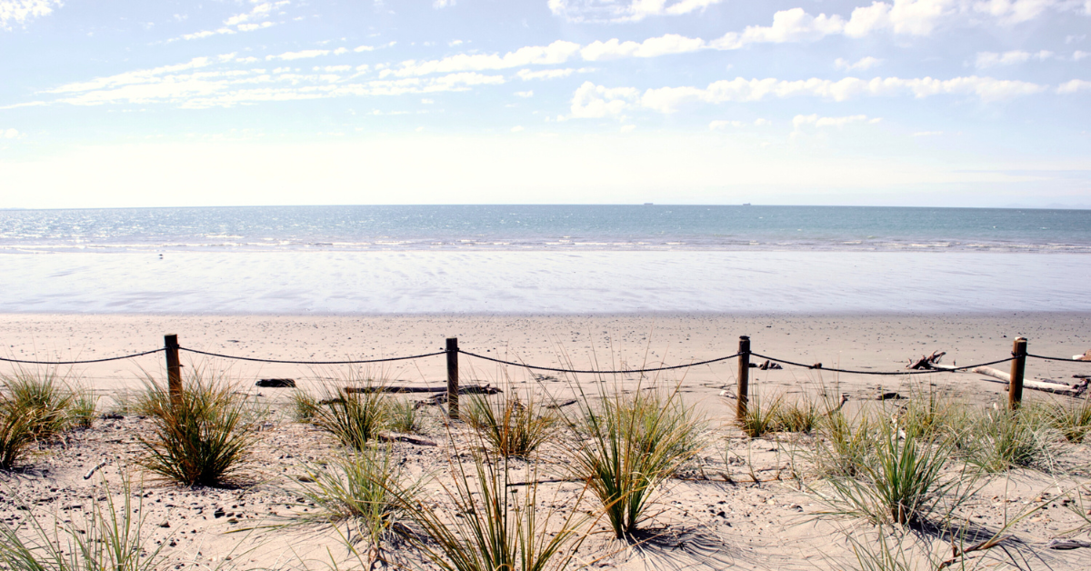 Tahunanui Beach empty