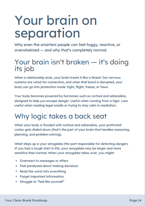 Your brain on separation