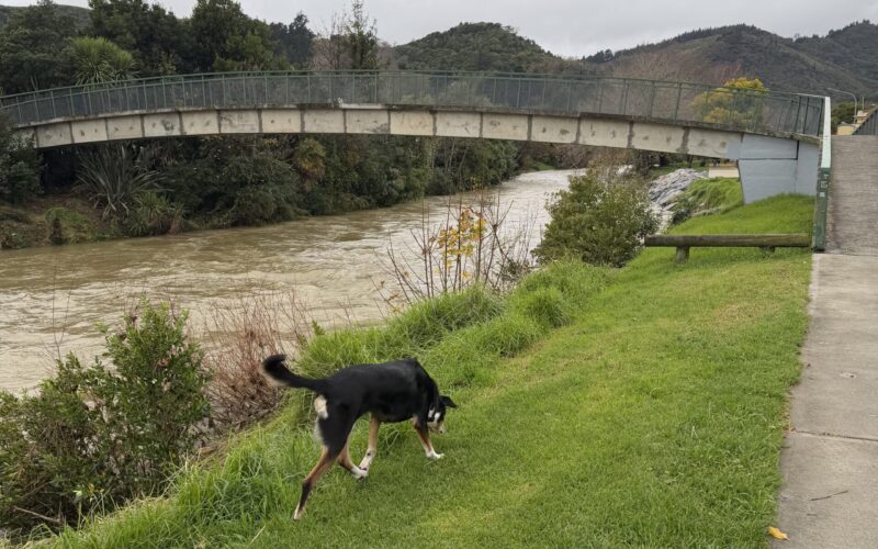 Maitai River